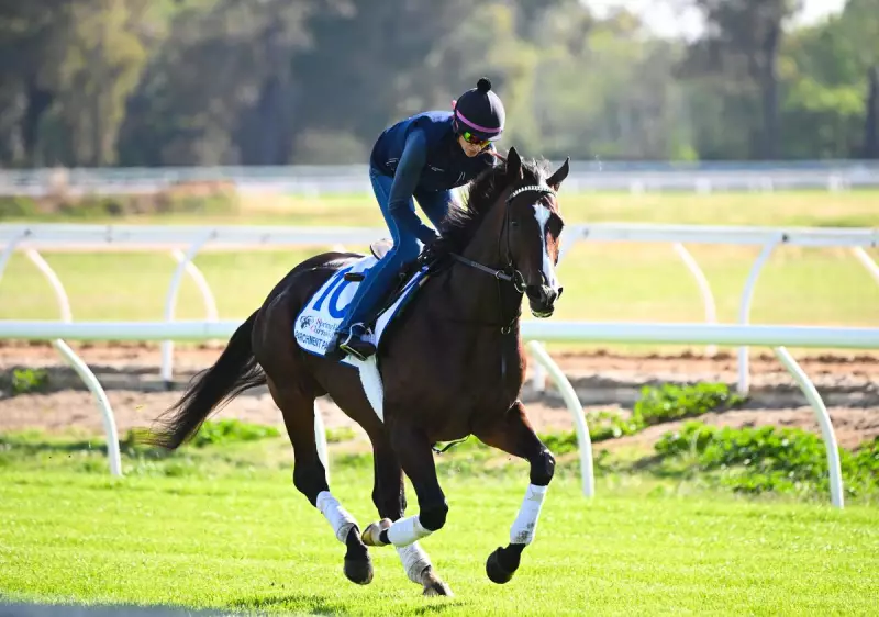 American Mystery: Parchment Party Emerges as Melbourne Cup's Most Baffling 2025 Contender