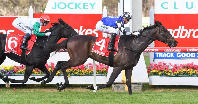 Australian Bloodstock Sets Sights on Record-Breaking Melbourne Cup Contingent for 2025