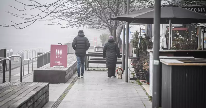 BOM's Website Overhaul Sparks Fury: Australians Fume Over 'Dumbed Down' Forecasts