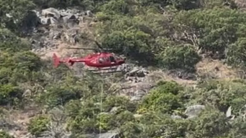 Cruise Ship Nightmare: Australian Passenger Left Behind on Tropical Island