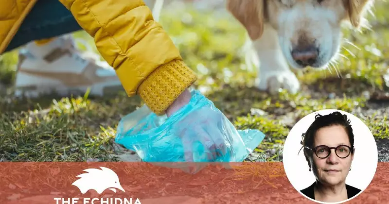 Echidna Emergency: Why Pet Owners Must Step Up to Protect Australia's Wildlife