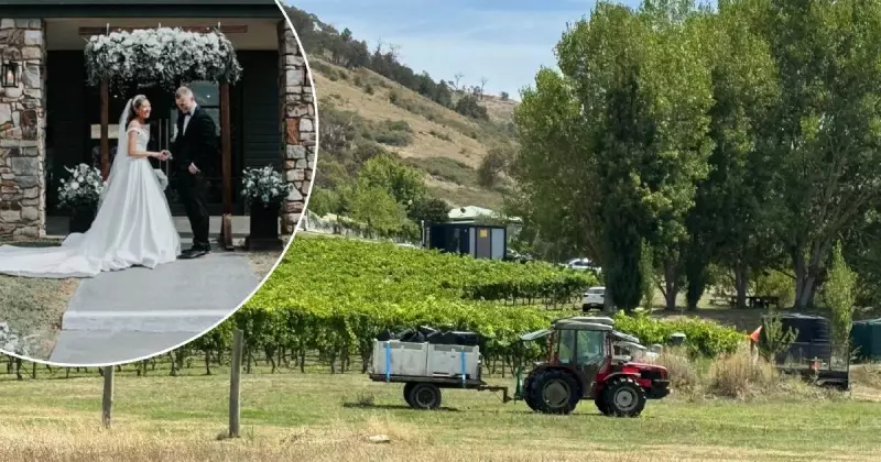 Historic Lake George Winery: Canberra's Iconic Vineyard Hits the Market