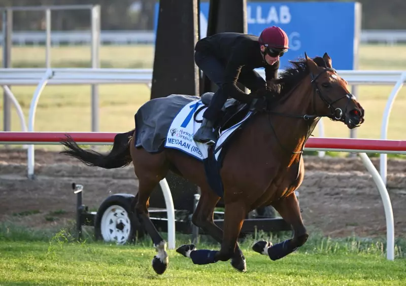 James McDonald's Thrilled Verdict: Meydaan's Trackwork Has Melbourne Cup Written All Over It