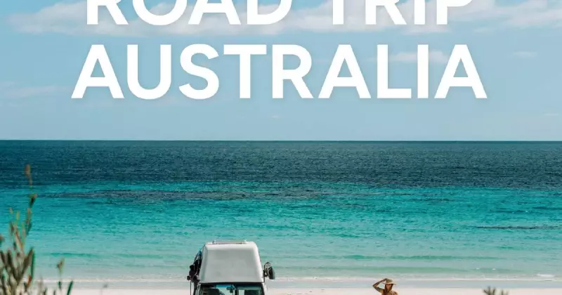 Penguin Predicament: Canberra's New Exhibition Reveals The Awkward Truth About Penguin Groups