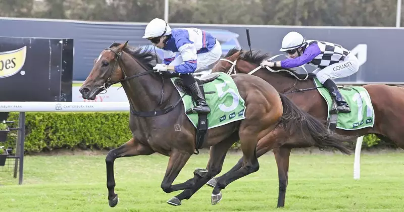 Sydney's Randwick Racecourse Set for Thrilling Autumn Racing Carnival Showdown