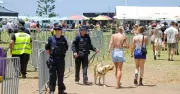Sniffer Dog Shocker: Two-Thirds of Illawarra Drug Searches Come Up Empty
