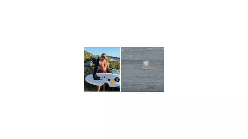 61-Year-Old Surfer Punches Shark in Margaret River Attack