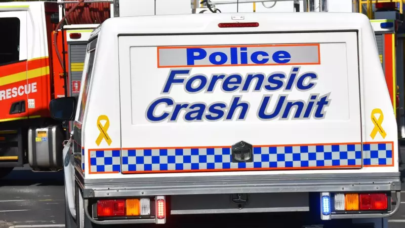 66-Year-Old Ayr Man Dies in Kia Sorento Tree Crash