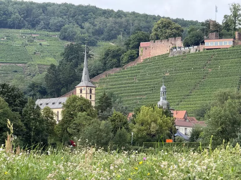 7-Day European River Cruise: Unlocking the Magic of the Rhine & Main