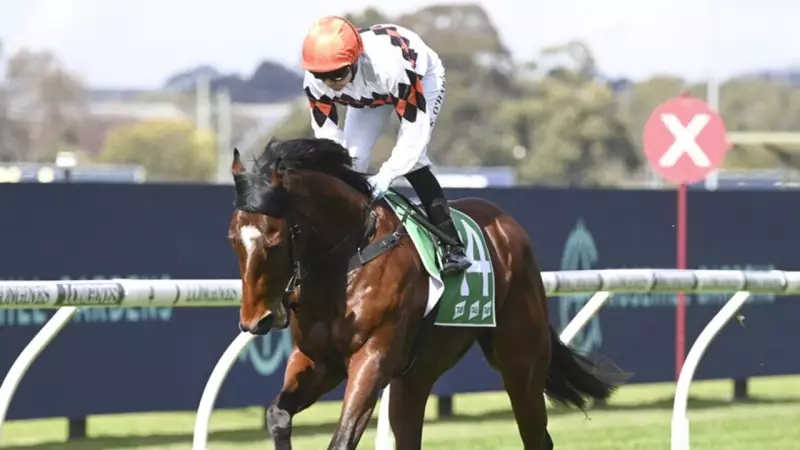 Albury Trainer Kym Davison Eyes Home Track Double with Autumn Break and Canny Hell