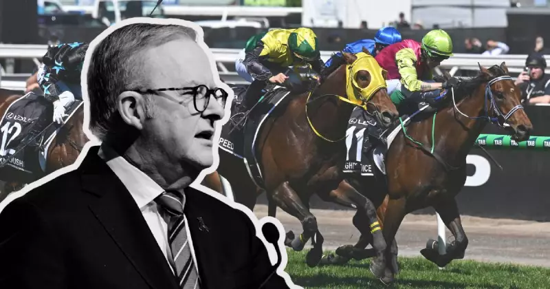 Australia's Gambling Ad Epidemic: The Hidden Mental Health Crisis You Can't Ignore