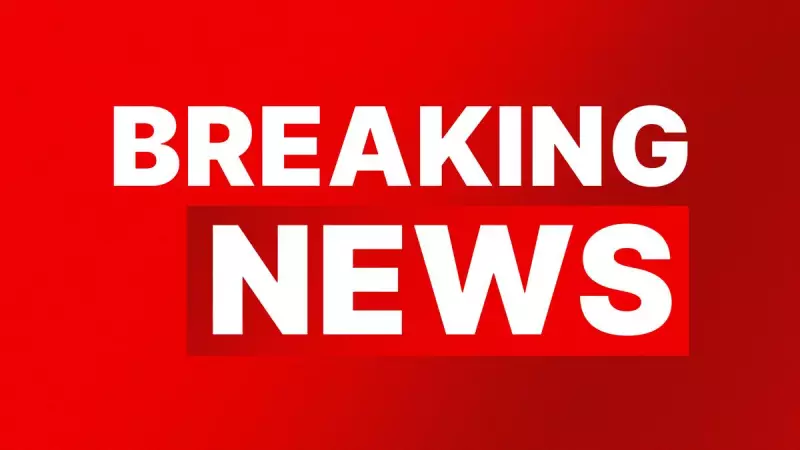 Bali Minibus Crash Kills Five Chinese Tourists in Ravine Plunge