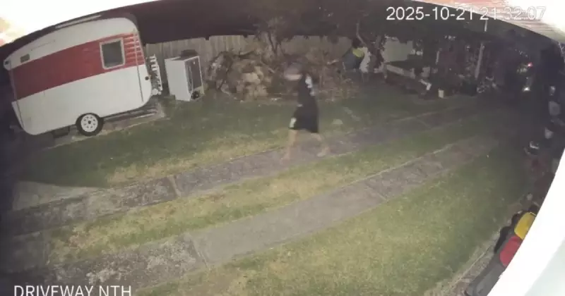 Barefoot Bandit Steals Chicken in Austinmer Night Raid Amid Egg Crisis