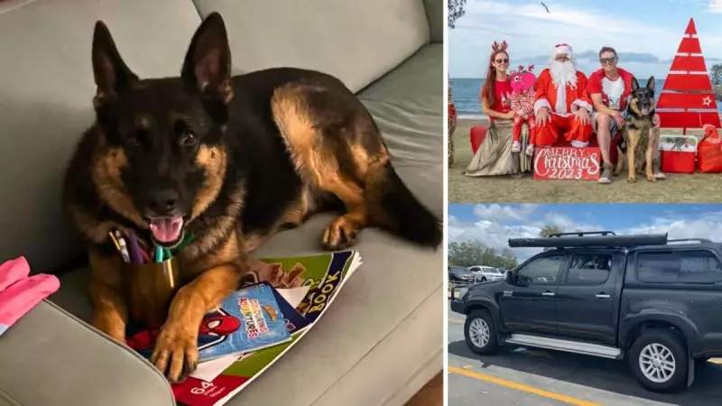 Brisbane Family's Plea: Keep Our Ute, Just Return Beloved Dog Arnie