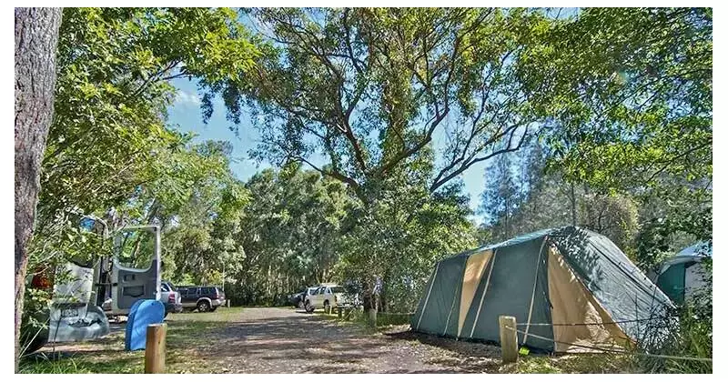 Brothers jailed for gunpoint robbery of British tourist at remote campsite