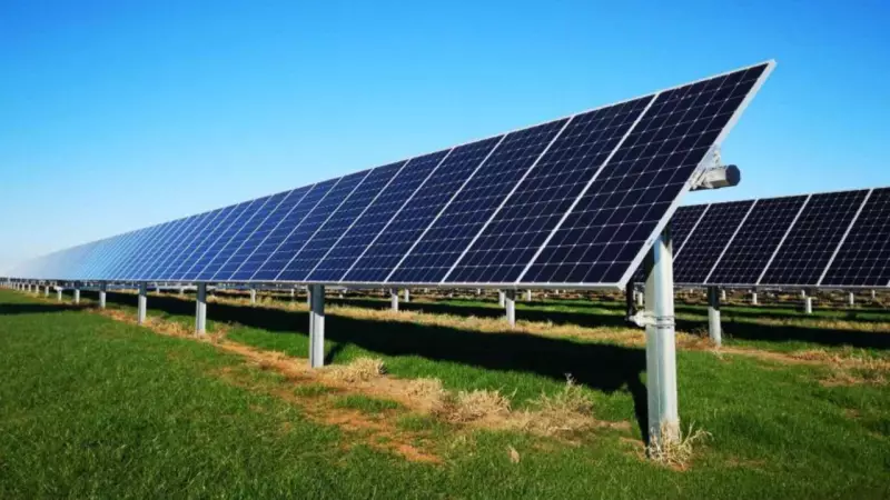 Bunnings Shifts Gears: Solar Power Revolution Transforms Aussie Hardware Giant