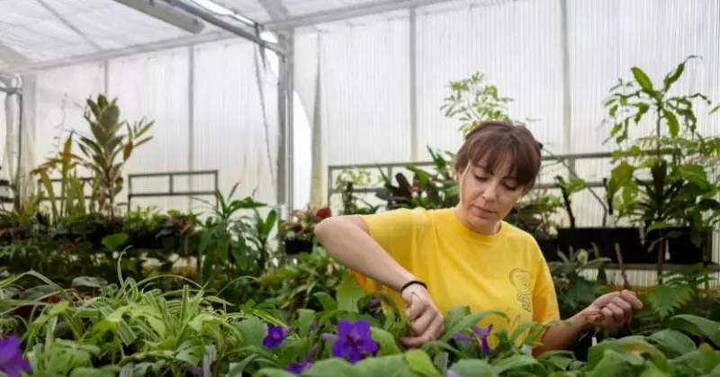 Canberra's CIT Bruce Hosts Massive Plant Sale: Native Beauties & Exotic Wonders