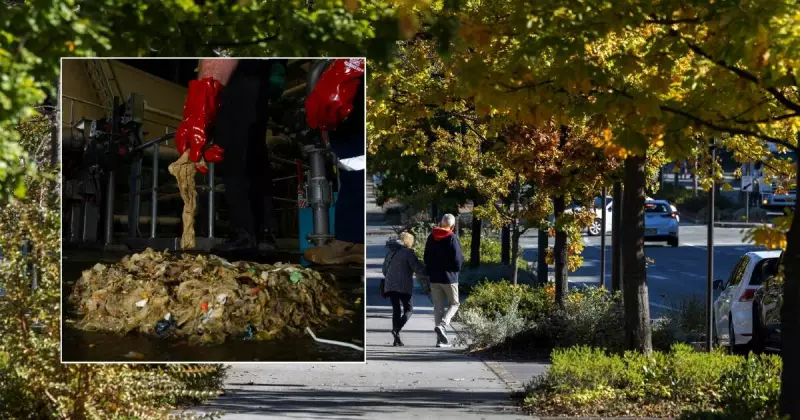 Canberra's Underground Battle: Tree Roots Clogging Capital's Sewers