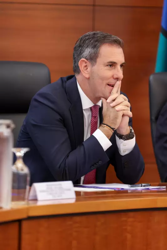 Chalmers Slams Coalition's Net Zero Opposition as Economic Insanity