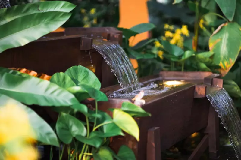 Charlie Albone's Water-Wise Gardening Tips Create Your Own H2Oasis