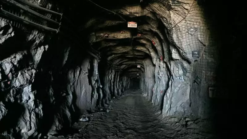 Citigold Loses Court Battle After Admitting Zero Employees