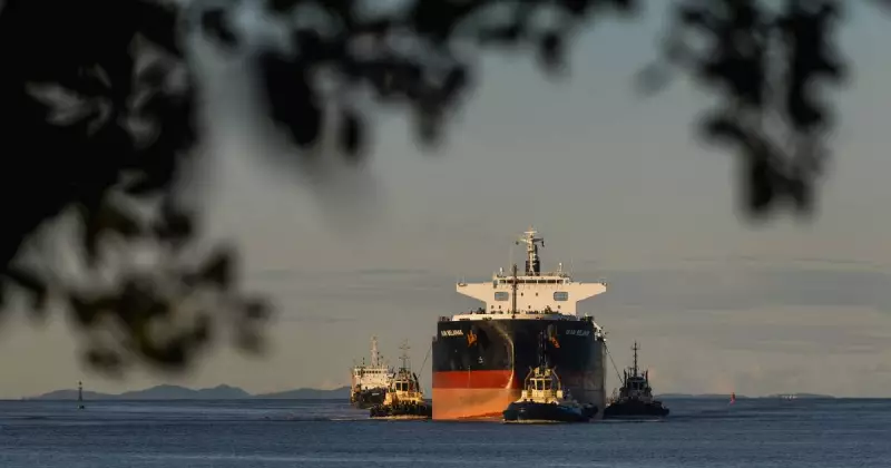 Coal Mining Essential for Hunter's Economy Amid Global Demand Surge