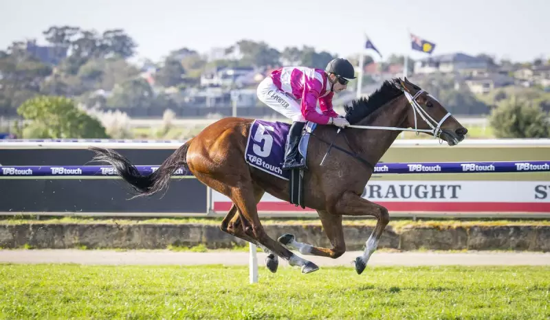 Cosmic Crusader Aims for Railway Redemption in R J Peters Stakes