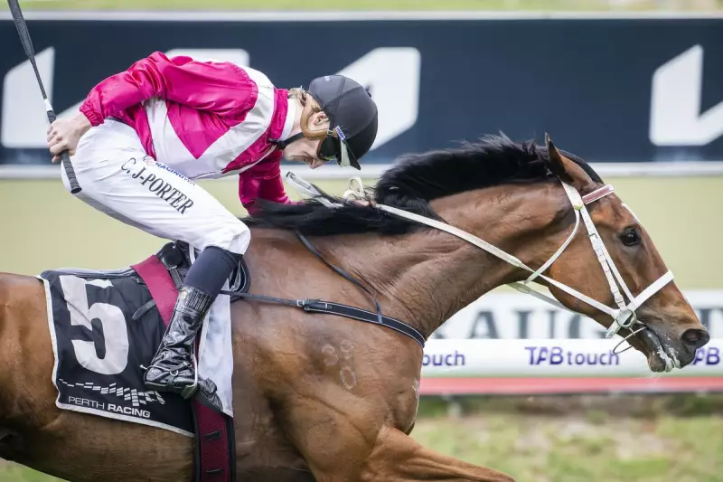 Cosmic Crusader's Stunning Carbine Club Victory After Railway Disappointment