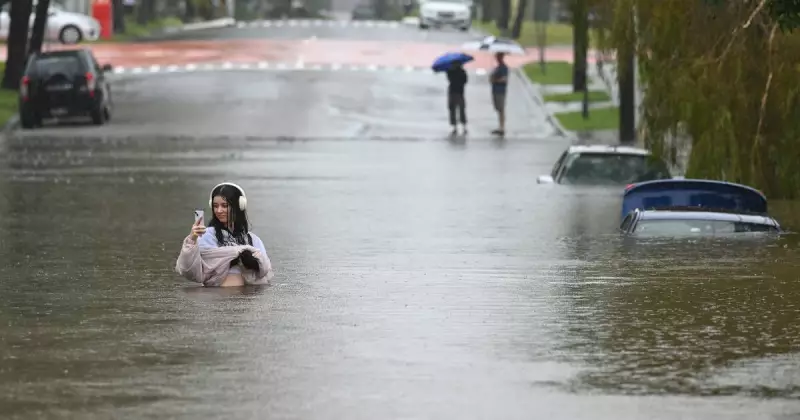 Earth's Vital Signs Are Failing: Scientists Issue Urgent Climate Warning