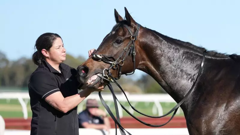 Evaporate Eyes C F Orr Stakes Glory Against Sprint Stars Jimmysstar and Angel Capital