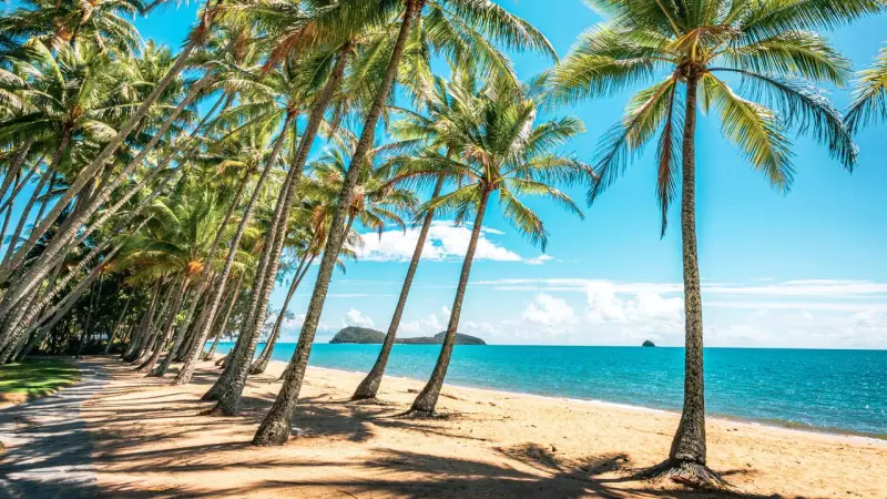 Far North Queensland Beaches Rebound After TC Jasper Flooding