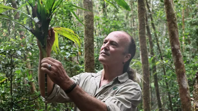 Fences Erected on Mount Lewis to Save Australia's Rarest Frogs