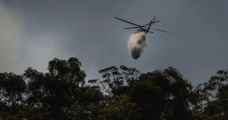 Firefighters Battle Karuah Nature Reserve Blaze for Fifth Day