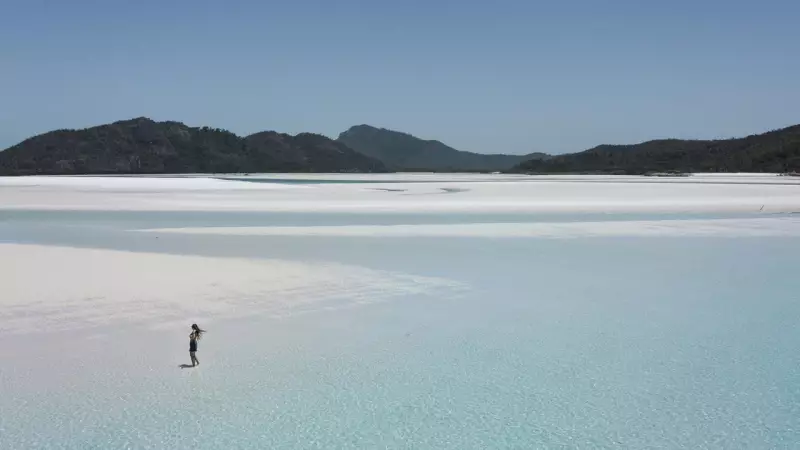 Flight Centre's New Rewards Program Sparks Frenzy, 20M Points Earned