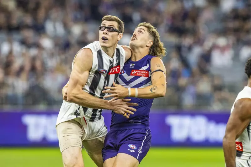 Fremantle Dockers Eye Delisted Magpie Mason Cox for Ruck Depth