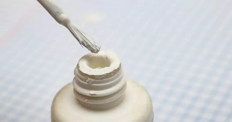 From Kitchen Blender to Million-Dollar Empire: The Liquid Paper Story