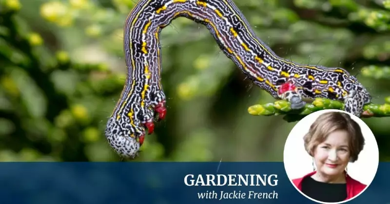 Gardening with Wildlife: Jackie French's Guide to Pest Control in Australian Gardens