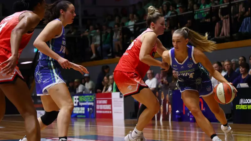 Geelong Venom Seek Redemption Against Perth in NBL1 Showdown