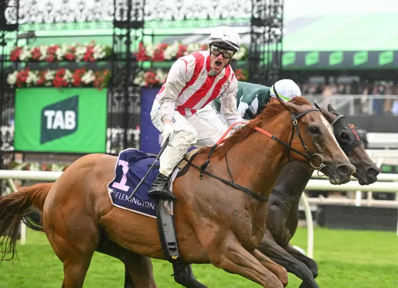 Giga Kick Confirmed for WA Preparation After Champions Sprint Win