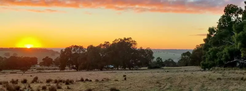 Gingin's 273% Boom: Country Heights Offers Hectare Lots from $385k