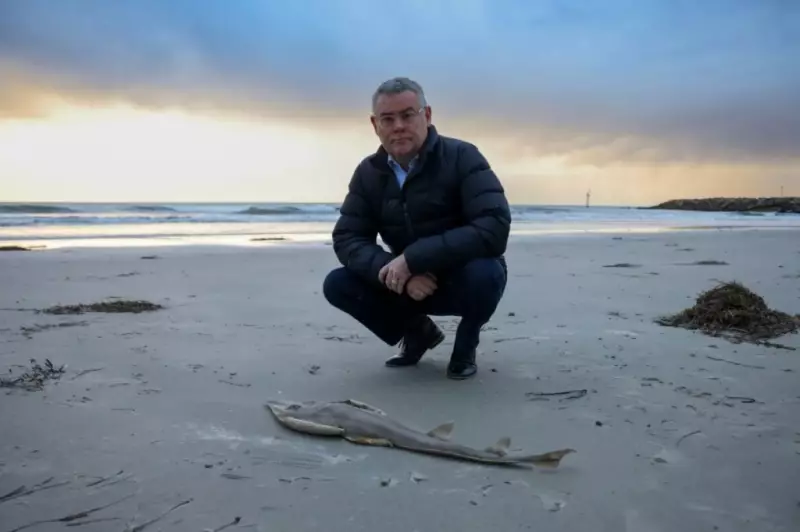 Govt Defends Algal Bloom Response Amid Critical Senate Report