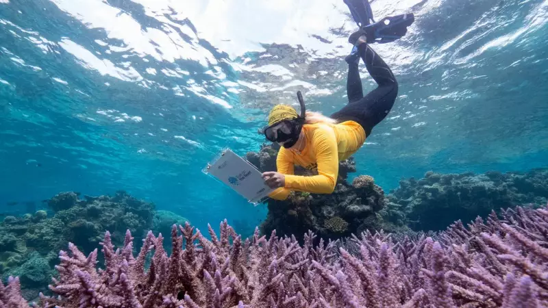 Great Barrier Reef Protection Boost as Tourism Operators Record Biodiversity