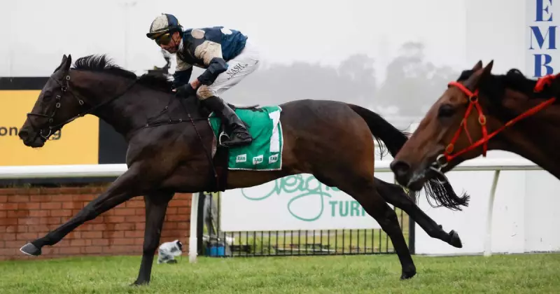 Gringotts Makes History with Back-to-Back Gong Wins at Kembla Grange