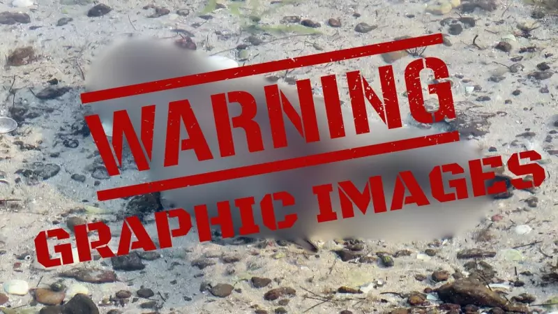 Grisly Discovery at Indented Head: Animal Heads Wash Ashore on Bellarine Peninsula Beach