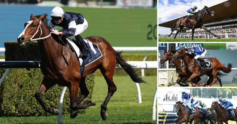 Hunter Horses Face Melbourne Cup Hurdle: Barrier Draw Analysis Reveals Key Challenges