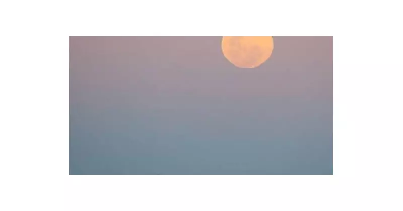 Hunter Valley's Breathtaking Supermoon: Stunning Photos Capture Cosmic Spectacle Over Newcastle