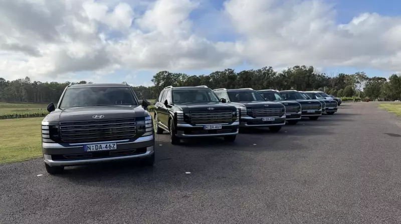 Hyundai's Hybrid Palisade Debuts: 245kW Power & 6.8L/100km Fuel Economy