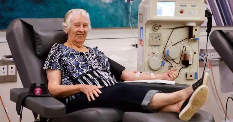Illawarra's Blood Donation Hero: Barbara Street's 650 Donations Save Nearly 2000 Lives