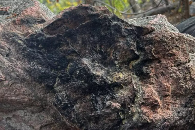 Infini's Canadian Uranium Hunt Reveals New High-Grade Targets