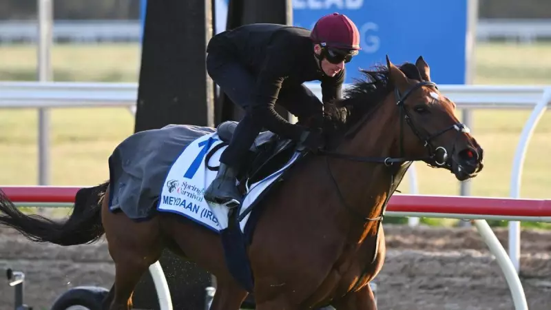 International Trainiers Simon and Ed Crisford Back Meydaan as Serious Melbourne Cup Contender